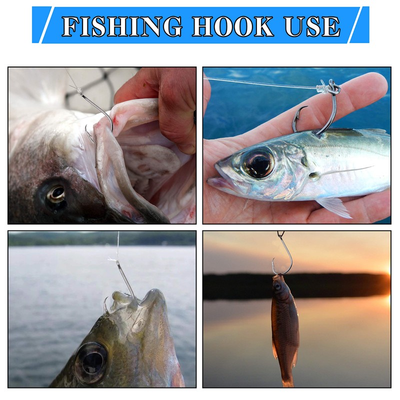 Shaddock High Carbon Fishing Hooks Black Rust Resistant Carp Fishing