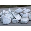 Prajet Crystal Natural Howlite Tumbled Stones 100 Grams White Howlite