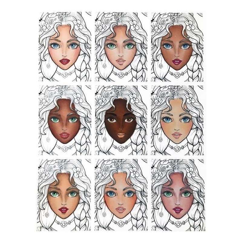 6pcs Skin Tone Alcohol Markers,Dual Double Tips Art Markers Drawing