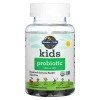 Probioticos Garden Of Life Niños Salud Digestiva Sin Azucar Sabor