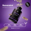 B Life Resveratrol 100 Cápsulas Antioxidante con Pimienta Negra