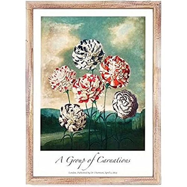 Artze Wall Art Vintage Carnations Art Print Poster, A1 Size
