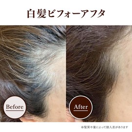 ayaki Retouch Pack, Gray Hair Dye, Color Treatment, Dark Brown, Unscented, Diamine Free, Gradually Natural, Treatment Type, Gentle on Scalp, Formulated with Fermented Extracts, Natural for Women, Men, 6.3 oz (180 g), Professional Gloves Included