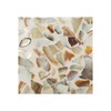 Shell Coasters, Set of 5, Asian Goods, Natural Shells, Capiz,