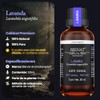 Bienat | Aceite Esencial de Lavanda 50mL Natural | Difusor