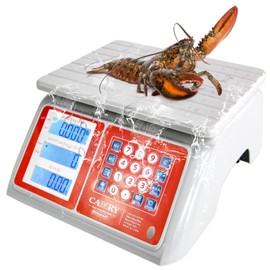 CAMRY Waterproof Commercial Food Scale IPX7 66lb / 30kg Digital Price Computing Meat Produce Weight Scale with White Backlight LCD for Farmers Market, Seafood, Rechargeable | CAMRY