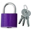 Padlock Padlock Purple 50 with 3 Keys