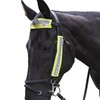 HyVIZ Reflective Bridle Set - Pink/Black (3 Pieces)