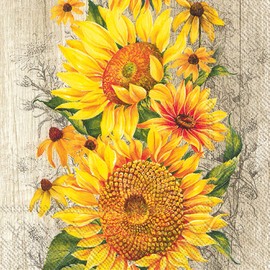 IHR Ideal Home Range - Servilletas desechables de 3 capas de papel para fiesta, 5 x 5 pulgadas, Le Tournesol (café claro), 20 unidades