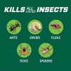 ORTHO Bug B‑Gon 20 lb Outdoor Lawn & Landscape Granular Insect