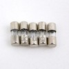 Divine Lighting 2.5A (2.5 Amp) GMA Glass Fuses, 3.6x10mm (0.14