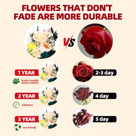 Liuzouwin Preserved Real Rose Glass Dome with LED Light, Preserved Flowers Gift for Women for Home Office Decoration (Pink)