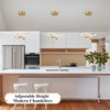 Mccokaige Modern LED Chandelier Contemporary Pendant Lighting Ring Light Fixture