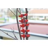 C.X.Y. 48 Wooden Clothes Pegs with Ladybird for Labelling Places,
