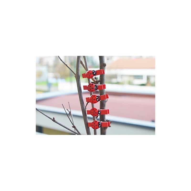 C.X.Y. 48 Wooden Clothes Pegs with Ladybird for Labelling Places,