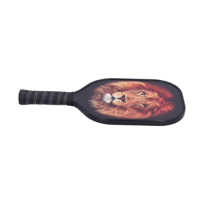 LEIJIAER Pickleball Paddle Set Carbon Fiber Face Racket with 2Pcs