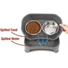 Neater Feeder Express Elevated Dog Bowls by Neater Pet Brands