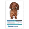 Winston & Bear 3D Dachshund Stickers - 2 Pack -