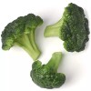 Factory Direct Craft Realistic Artificial Broccoli Florets | Package of