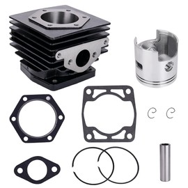 10L0L Golf Cart Top End Rebuild Kit,Cylinder & Piston Kit for 1976-1988 EZGO 2 Cycle Gas Golf Cart with 244cc EC25-DS EC25 2PG Engine,Replace OEM#14532-G1