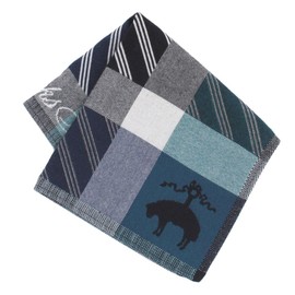 Brooks Brothers 125468-0001-01 Men's Handkerchief (Blue) Can Wipe Glasses and LCD Screen (Blue) [Microfiber] Business Men's Handkerchief, 9.4 inches (24 cm), blue