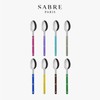 Breeze Color Sabre Bistro Cutlery Shiny Dinner Spoon / 브리즈 컬러 사브르 비스트로 커트러리 샤이니 디너스푼