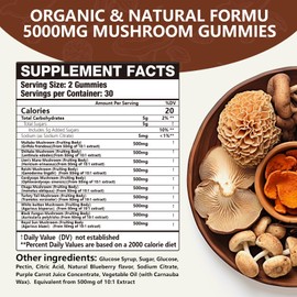1 Pack 5000MG Mushroom Gummies -10 Blend Organic Mushroom Supplement containing Lion's Mane and Reishi for Brain and Immune Boosting, Vegan Blueberry Flavor, Non-GMO, 60 Counts