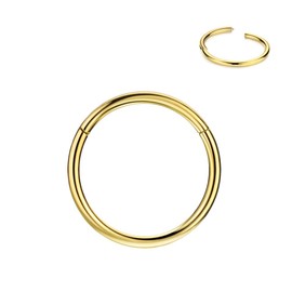 FANSING Gold Nose Rings 16g 11mm Nose Hoop 16 Gauge Piercing Hoop for Cartilage Helix Septum Jewelry