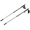 LEKI Nordic Walking Instructor Trekking Pole