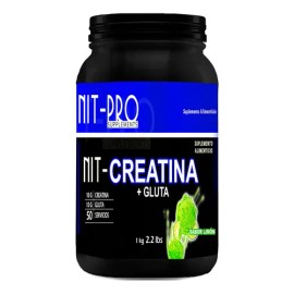 Suplemento Creatina + Glutamina Nit-pro 1kg En Polvo Sabores