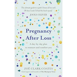 Pregnancy After Loss: A day-by-day plan to reassure and comfort you
