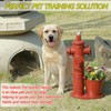 20.9"H Metal Fire Hydrant for Dogs to Pee On with