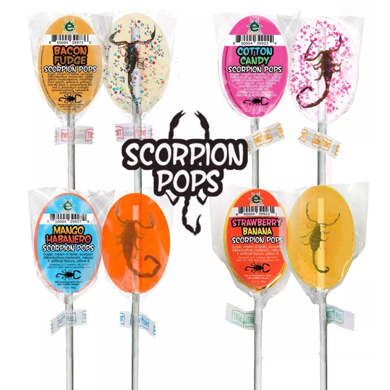 Entosense Scorpion Pops | Real Scorpions Encased in a Candy