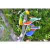 Balancing Bird Toy 6.5 Inch Wing Span-Colors May Vary by