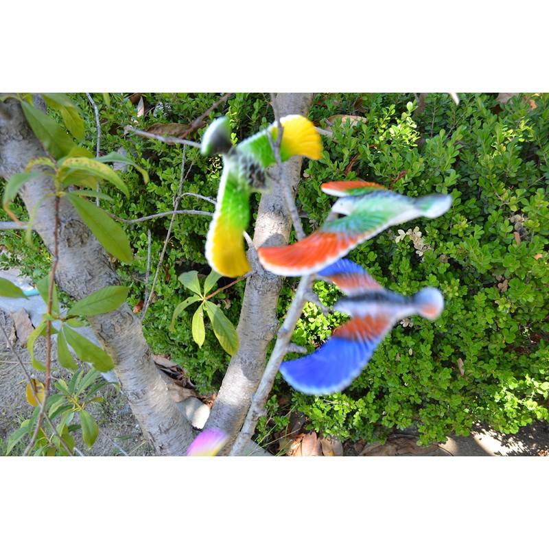Balancing Bird Toy 6.5 Inch Wing Span-Colors May Vary by