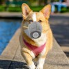 1pcs Breathable Dog Muzzle for Winter Protection Mask for Outdoor