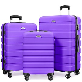 AnyZip Luggage Sets 3 Piece Hardshell Suitcase Set PC ABS Lightweight Travel Suitcases with 4 Double Spinner Wheels TSA Lock 20 24 28 Inch Violet Purple