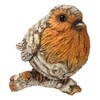 Vivid Arts - SB-ROBN-G Silver Birch Robin Wood Effect Garden