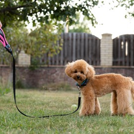 Ferplast Dog Lead ERGOFLUO, Dog Lead for Small Dog, Ergonomic Padded Handle, in Nylon. Size 120 cm, Pink