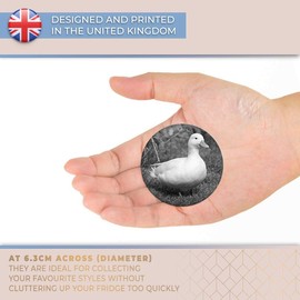 Destination Vinyl ltd Magnet for Refrigerator, Fridge BW - White Call Duck Ducks Cute for Office, Cabinet and Whiteboard, Magnetic Stickers, 38227