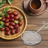 Matcha Stainless Steel Strainer - Japanese Chakoshi Tea Strainer with