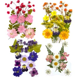 DFsucces DFsucces 4 Packs About 60 Pcs,Pressed Dried Flowers,Real Dried Pressed Flowers,Pressed Flowers for Resin,Mixed Multiple Natural Flowers Leaves,for Crafts Making Floral Decors Scrapbooking DIY