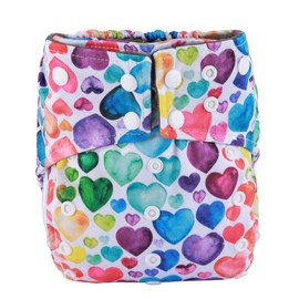 AIll in One Night AIO Cloth Diaper Nappy Sewn in Insert Reusable Washable Girls (Hummingbirds Foliage)