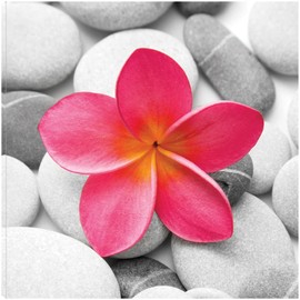 Fine Art Canvas Zen Flower Canvas Wall Decor by Artist Incado for Living Room, Bedroom, Bathroom, Kitchen, Office, Bar, Dining & Guest Room - Ready to Hang - 32 in x 32 in