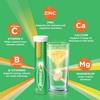 Berocca Energy Vitamin with 12 Essential Vitamins and Minerals to