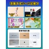 Figure Fixing Stickers 200 pieces 【Supervised by Figure Shop】 Figure