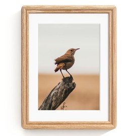 RICHFOCUS 6x8 Picture Frame, Natural Solid Oak Wood Picture Frame with High Tempered Glass, Handcrafted Rounded Corner 6 by 8 Wooden Frame Matted to 5x7 Photo for Wall & Tabletop Display