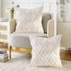 CJWLKJ 2Pcs Soft Faux Fur Throw Pillow Covers 18x18 -