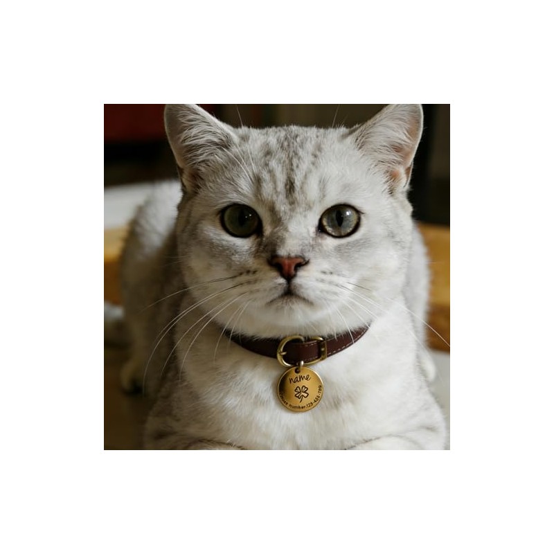 Placa de Identificación Personalizada para Perros y Gatos – –