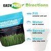 Wheatgrass Seeds | Non GMO | Grown in USA Wheat